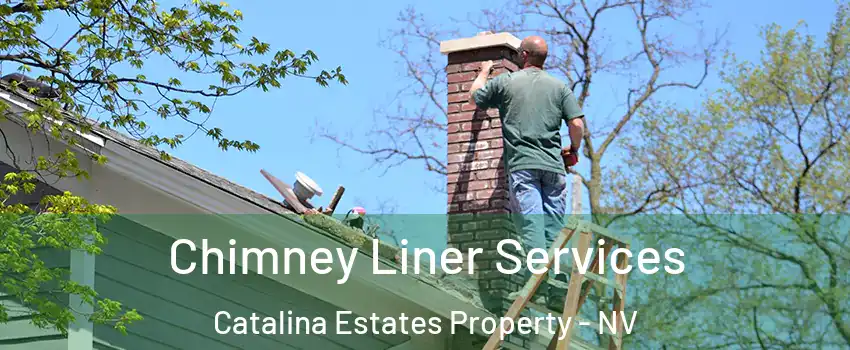 Chimney Liner Services Catalina Estates Property - NV