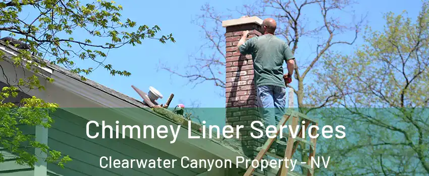 Chimney Liner Services Clearwater Canyon Property - NV