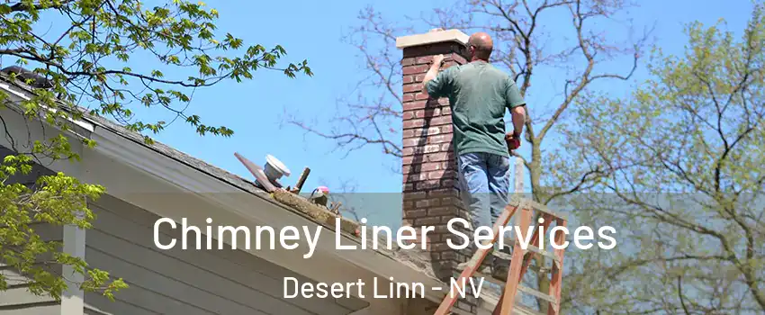 Chimney Liner Services Desert Linn - NV