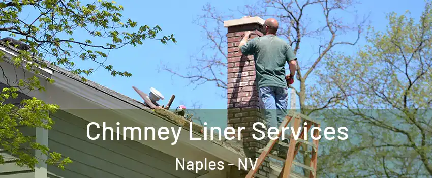 Chimney Liner Services Naples - NV