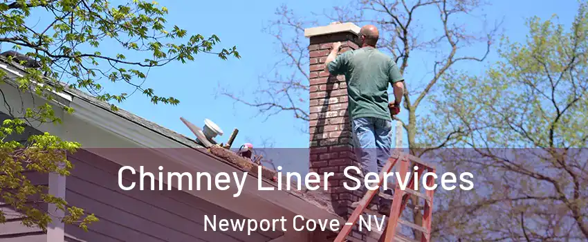 Chimney Liner Services Newport Cove - NV