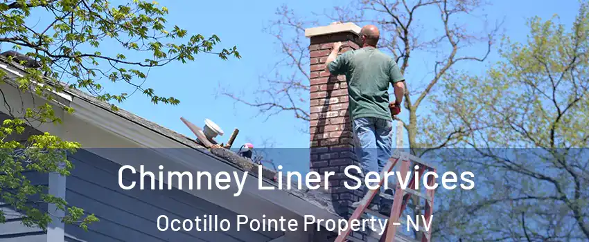 Chimney Liner Services Ocotillo Pointe Property - NV
