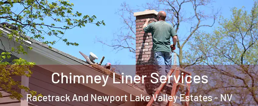 Chimney Liner Services Racetrack And Newport Lake Valley Estates - NV