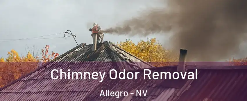 Chimney Odor Removal Allegro - NV