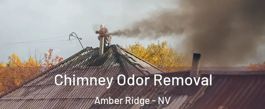Chimney Odor Removal Amber Ridge - NV