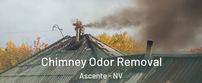 Chimney Odor Removal Ascente - NV