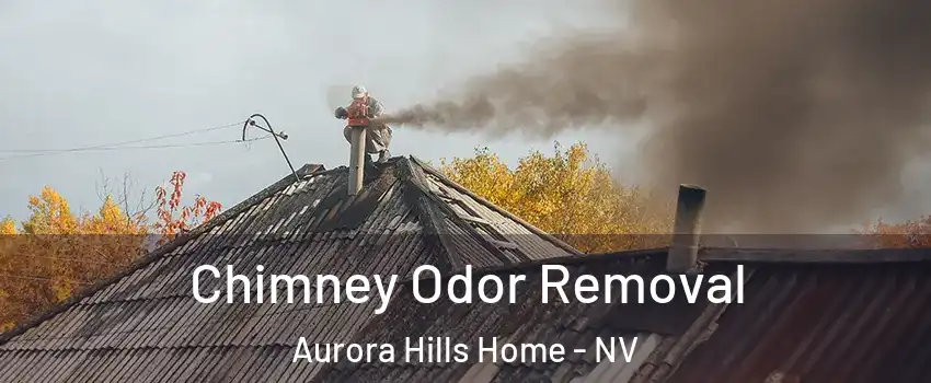 Chimney Odor Removal Aurora Hills Home - NV