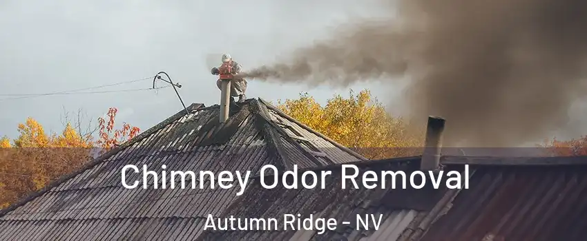 Chimney Odor Removal Autumn Ridge - NV