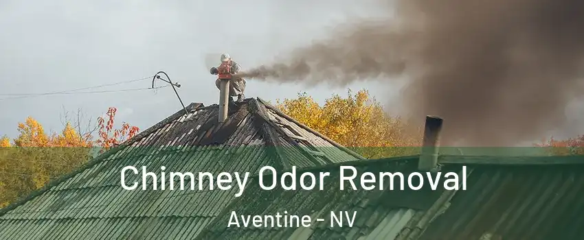 Chimney Odor Removal Aventine - NV