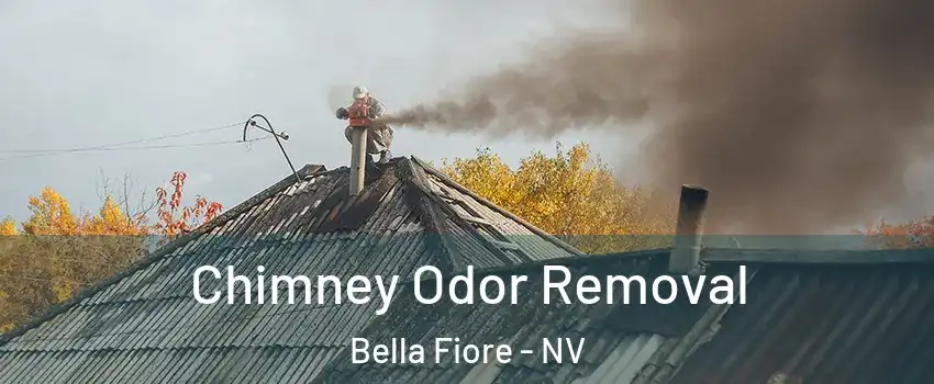 Chimney Odor Removal Bella Fiore - NV
