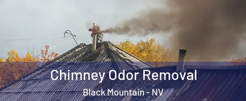 Chimney Odor Removal Black Mountain - NV