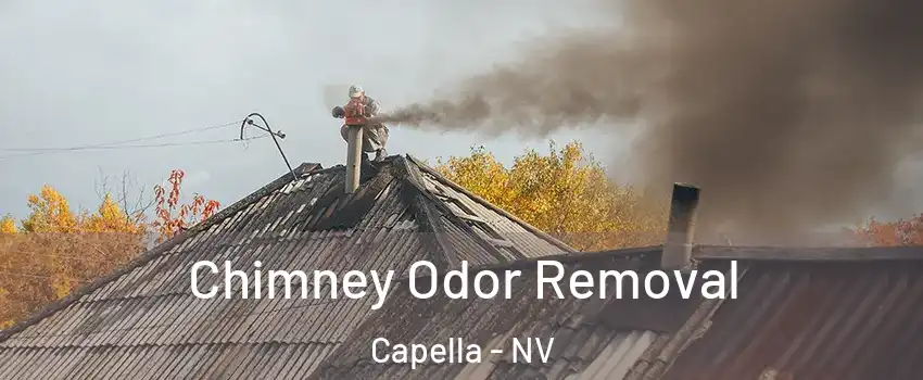 Chimney Odor Removal Capella - NV