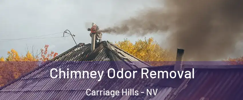 Chimney Odor Removal Carriage Hills - NV