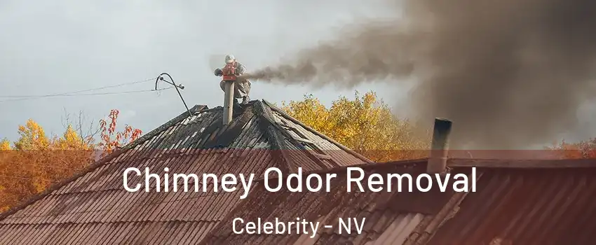 Chimney Odor Removal Celebrity - NV