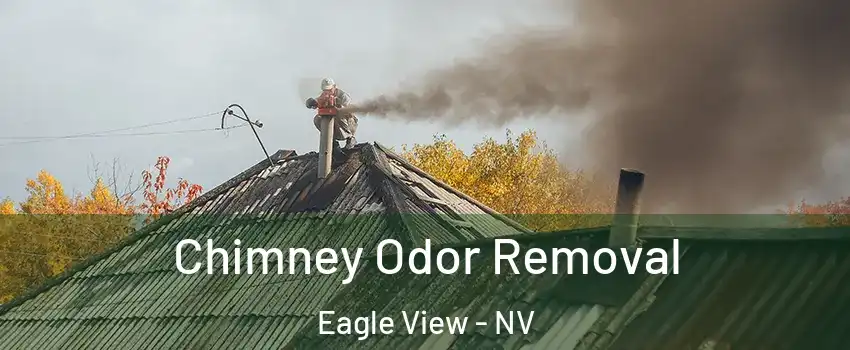Chimney Odor Removal Eagle View - NV