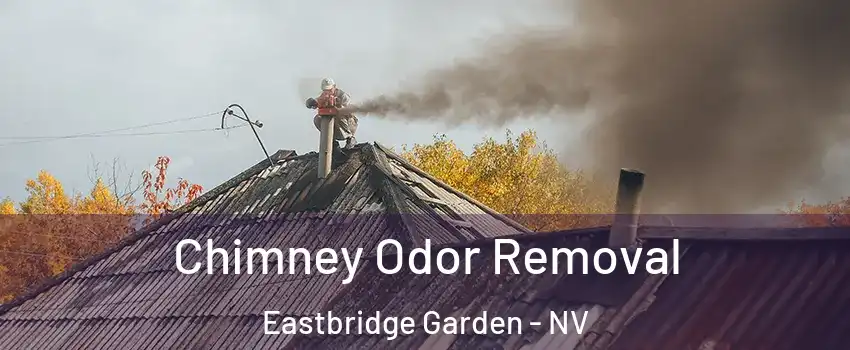 Chimney Odor Removal Eastbridge Garden - NV