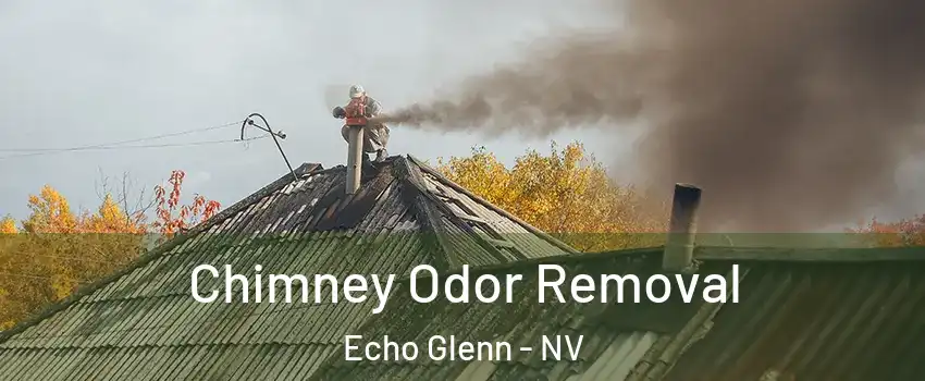 Chimney Odor Removal Echo Glenn - NV