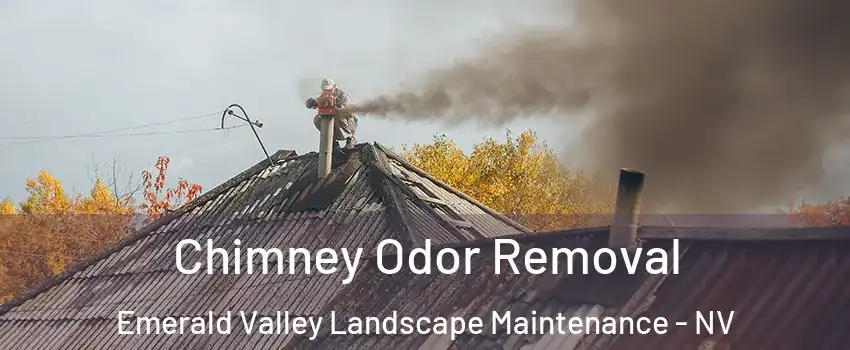 Chimney Odor Removal Emerald Valley Landscape Maintenance - NV