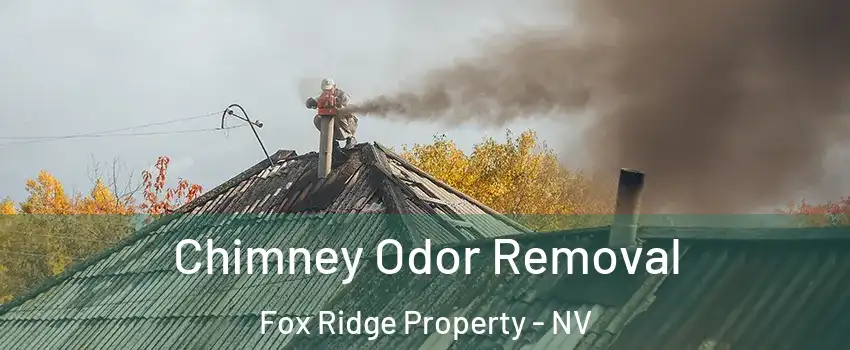 Chimney Odor Removal Fox Ridge Property - NV