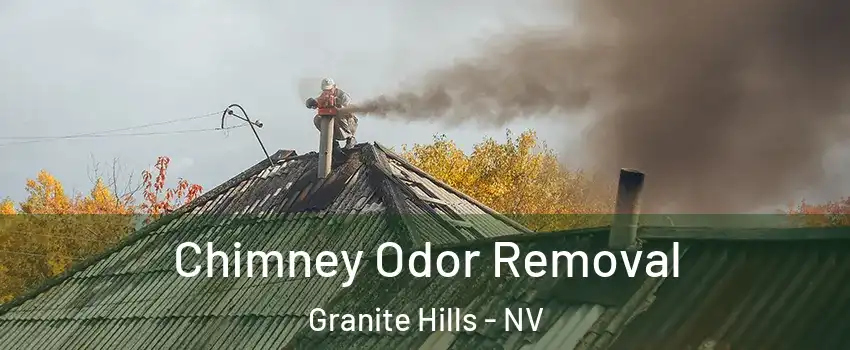 Chimney Odor Removal Granite Hills - NV