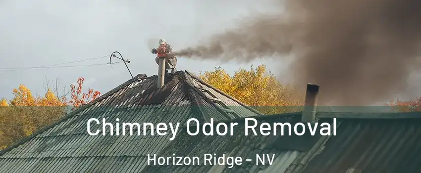 Chimney Odor Removal Horizon Ridge - NV