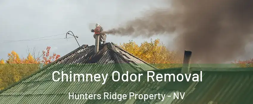 Chimney Odor Removal Hunters Ridge Property - NV