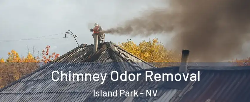 Chimney Odor Removal Island Park - NV