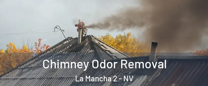 Chimney Odor Removal La Mancha 2 - NV
