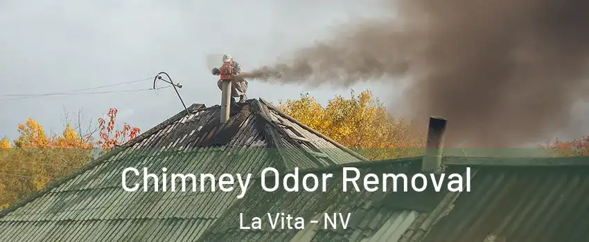 Chimney Odor Removal La Vita - NV