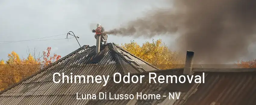 Chimney Odor Removal Luna Di Lusso Home - NV