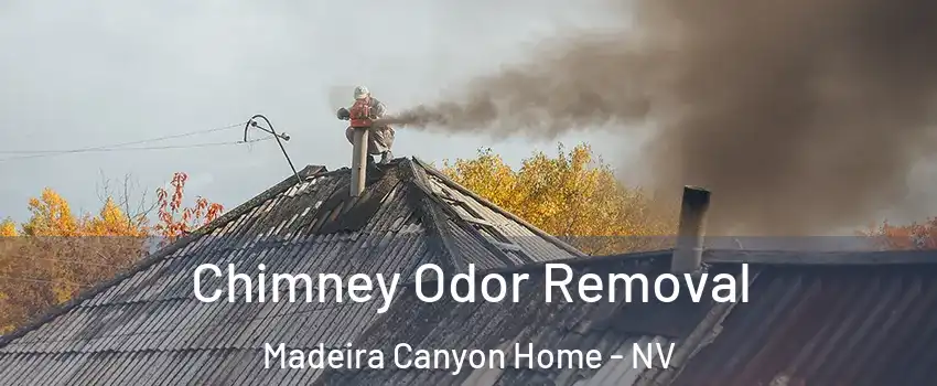 Chimney Odor Removal Madeira Canyon Home - NV
