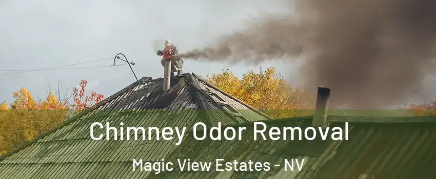 Chimney Odor Removal Magic View Estates - NV