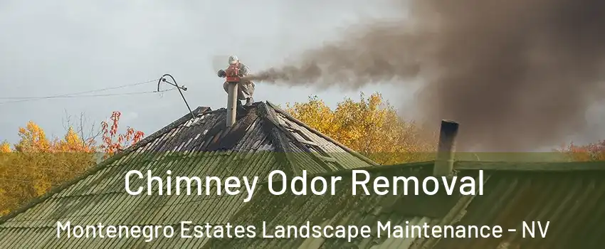 Chimney Odor Removal Montenegro Estates Landscape Maintenance - NV