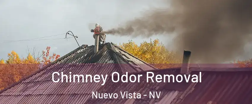 Chimney Odor Removal Nuevo Vista - NV