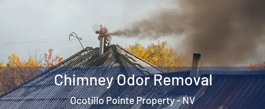 Chimney Odor Removal Ocotillo Pointe Property - NV
