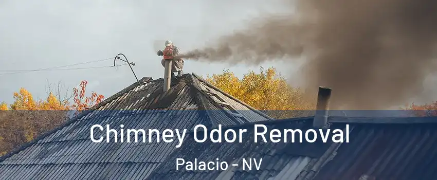 Chimney Odor Removal Palacio - NV
