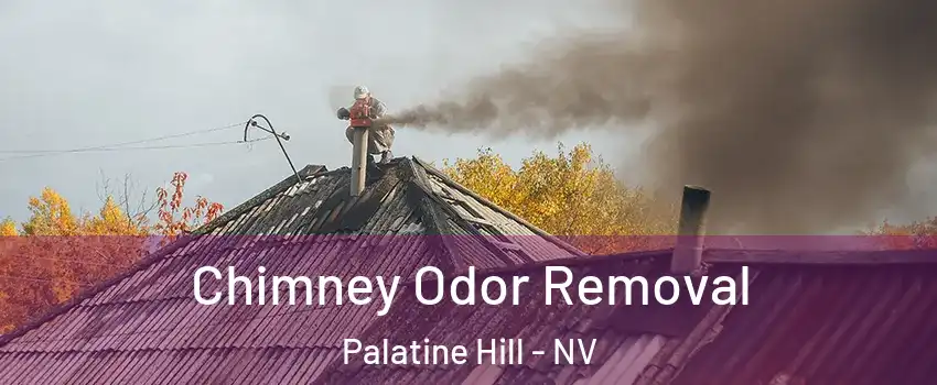 Chimney Odor Removal Palatine Hill - NV