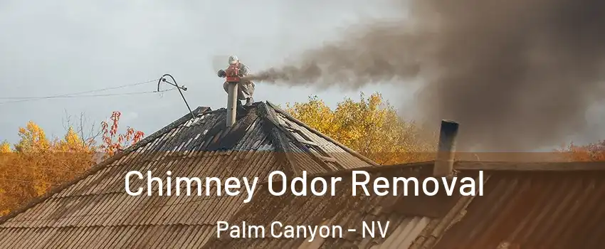 Chimney Odor Removal Palm Canyon - NV