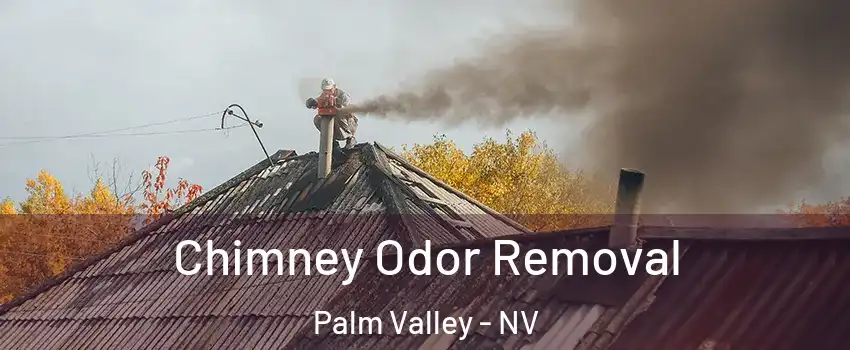 Chimney Odor Removal Palm Valley - NV