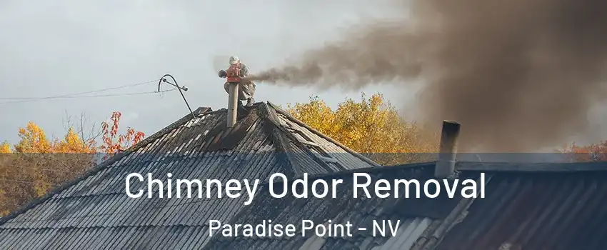 Chimney Odor Removal Paradise Point - NV