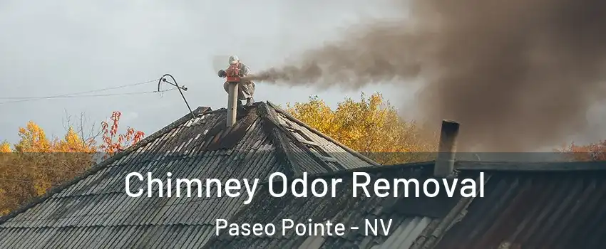 Chimney Odor Removal Paseo Pointe - NV