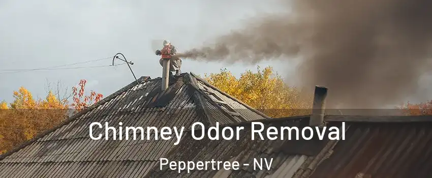 Chimney Odor Removal Peppertree - NV