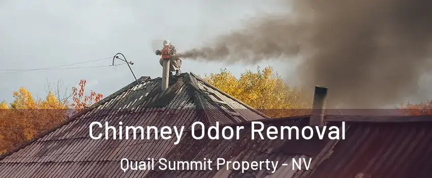 Chimney Odor Removal Quail Summit Property - NV