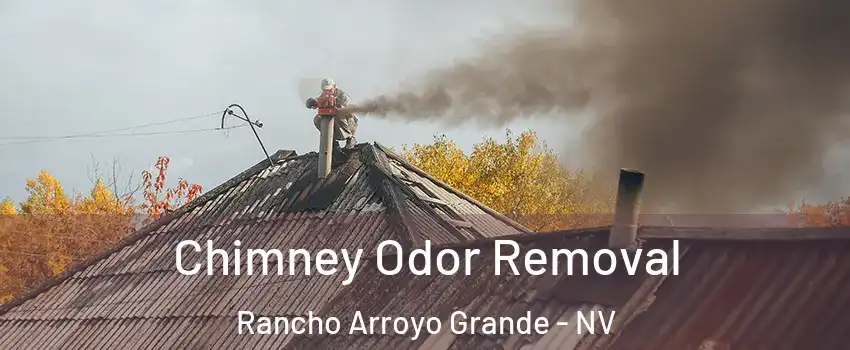 Chimney Odor Removal Rancho Arroyo Grande - NV