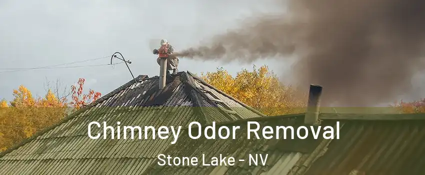 Chimney Odor Removal Stone Lake - NV