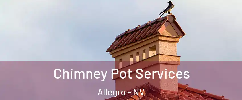 Chimney Pot Services Allegro - NV