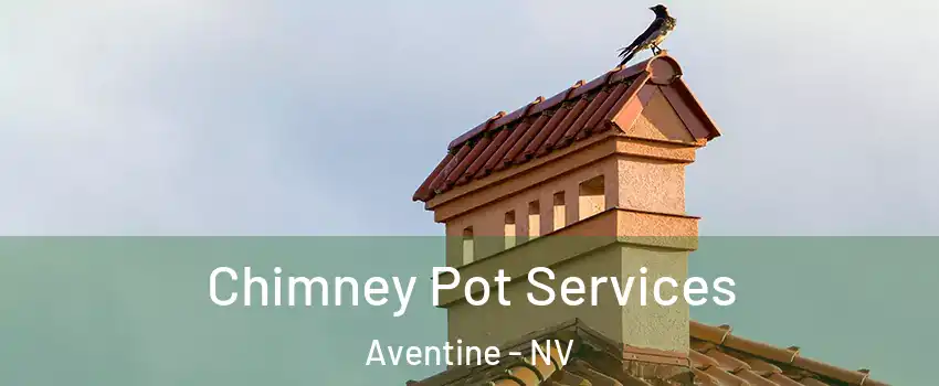 Chimney Pot Services Aventine - NV