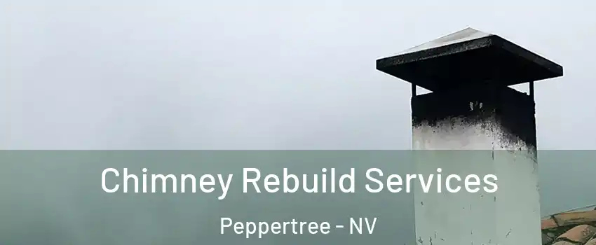 Chimney Rebuild Services Peppertree - NV