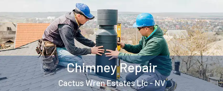 Chimney Repair Cactus Wren Estates Llc - NV