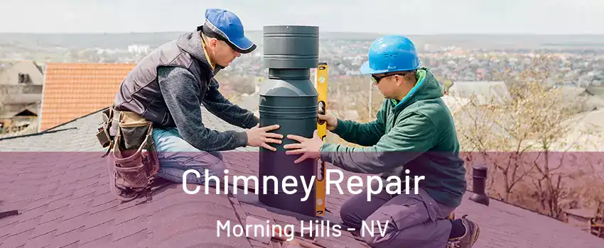 Chimney Repair Morning Hills - NV
